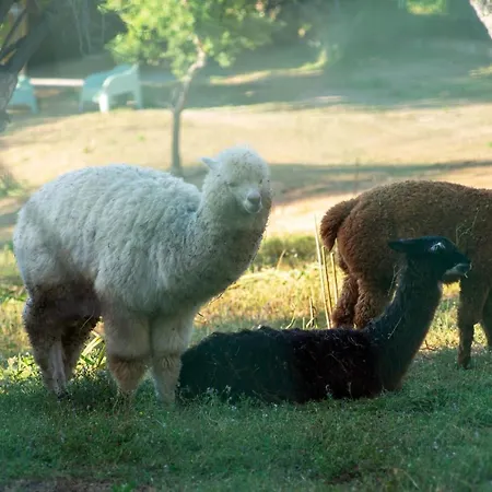 U Tempu Persu 빌라 Grosseto-Prugna