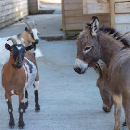 U Tempu Persu Grosseto-Prugna