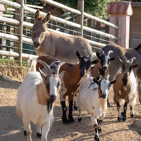 U Tempu Persu 빌라 *