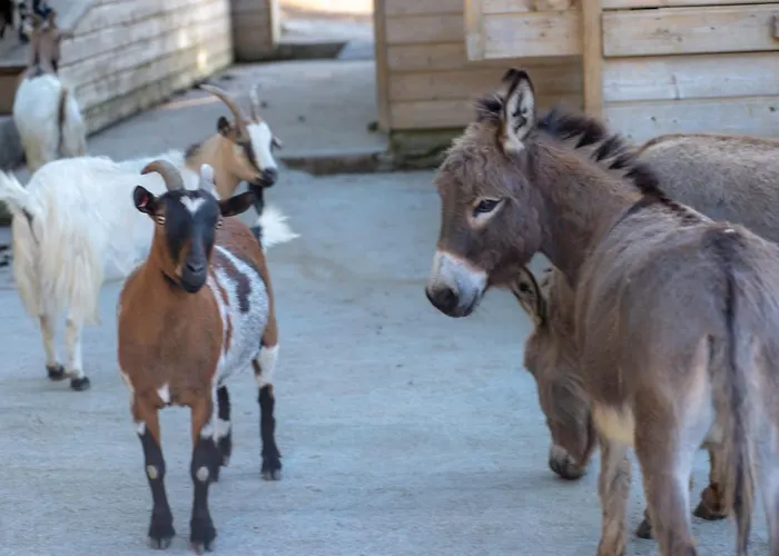 U Tempu Persu Grosseto-Prugna