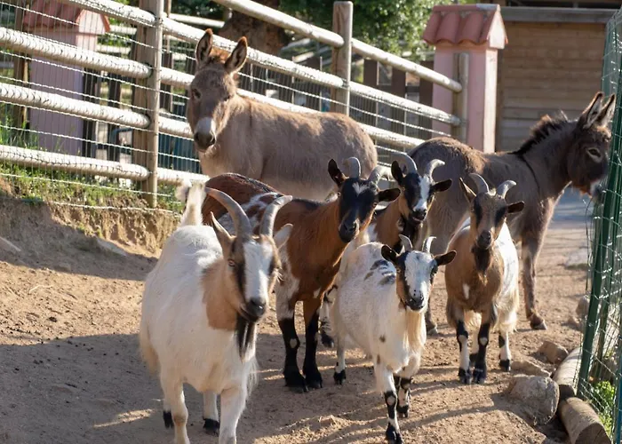 U Tempu Persu וילה *